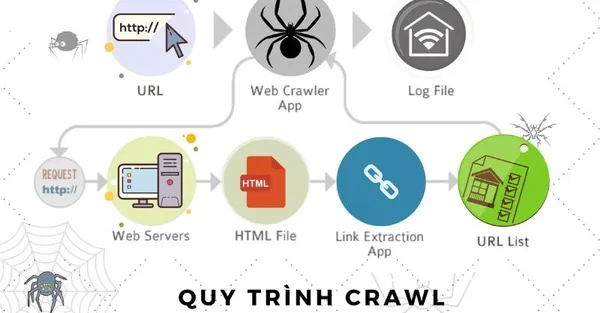Crawl - Khái niệm Crawl